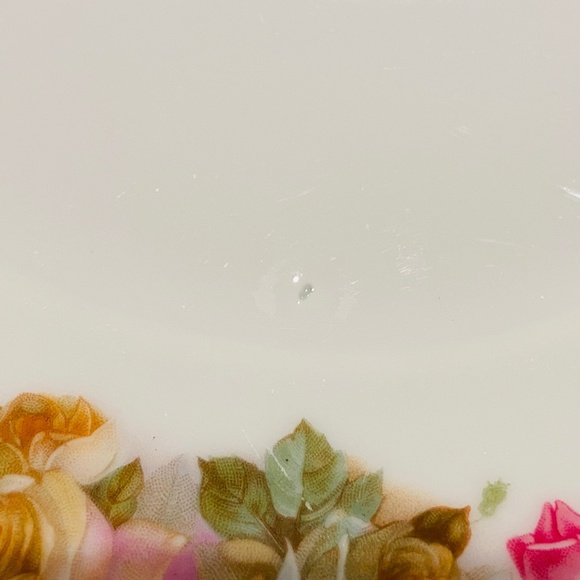 JE21-Vintage 4 PIECE SET Bavarian Cottagecore Cottage Roses Plates - Picture 10 of 11